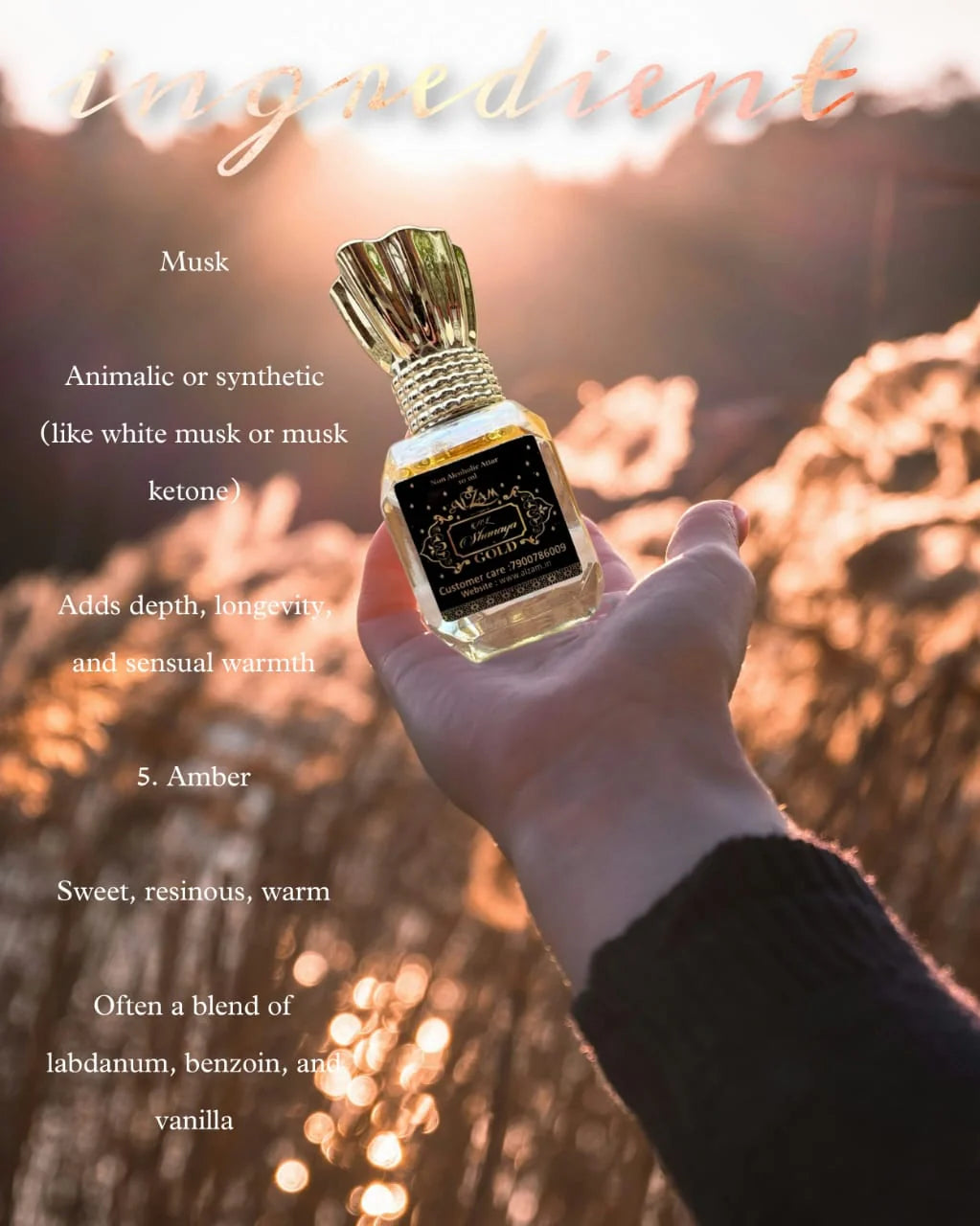 Al Shanaya Gold – The Golden Aura of Timeless Luxury | Opulent Scent