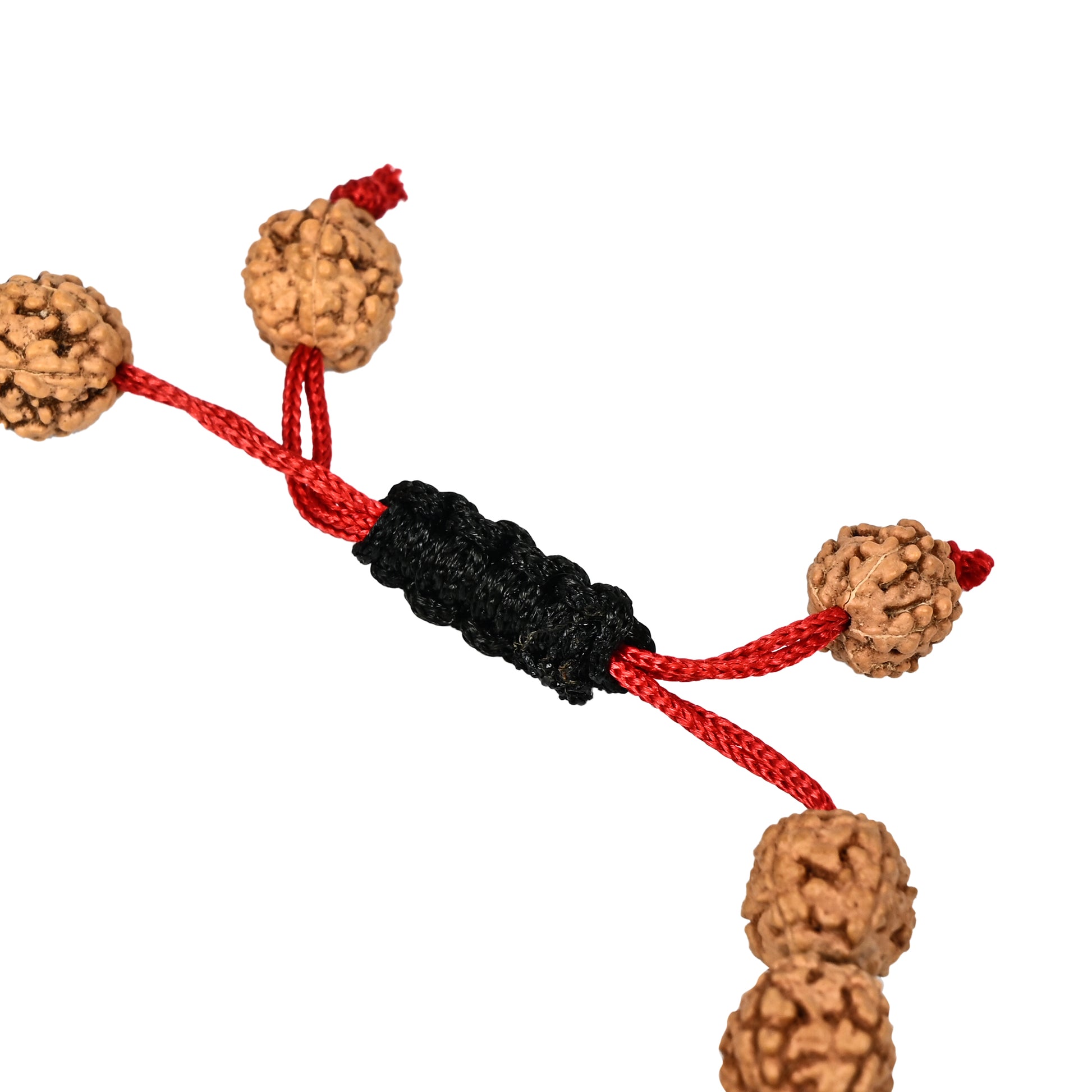 energized 5 mukhi rudraksha bracelet
